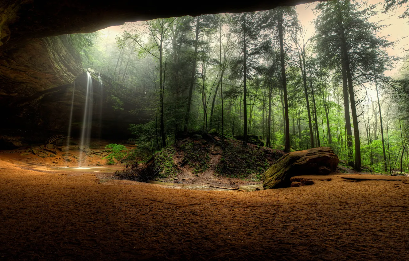 Photo wallpaper forest, rock, waterfall, panorama, the grotto