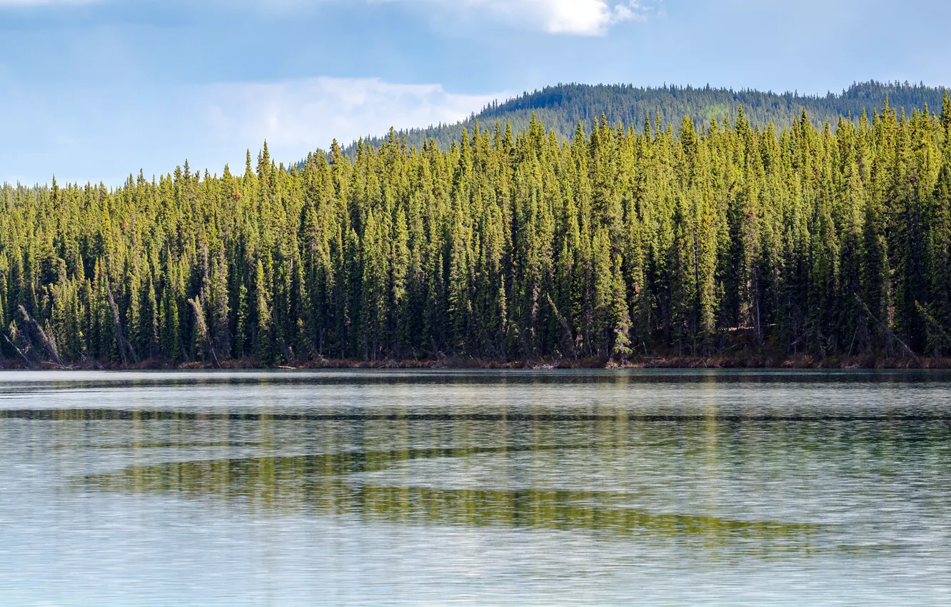 Photo wallpaper forest, the sun, trees, mountains, lake, Canada, Yukon, Southern Lakes Region