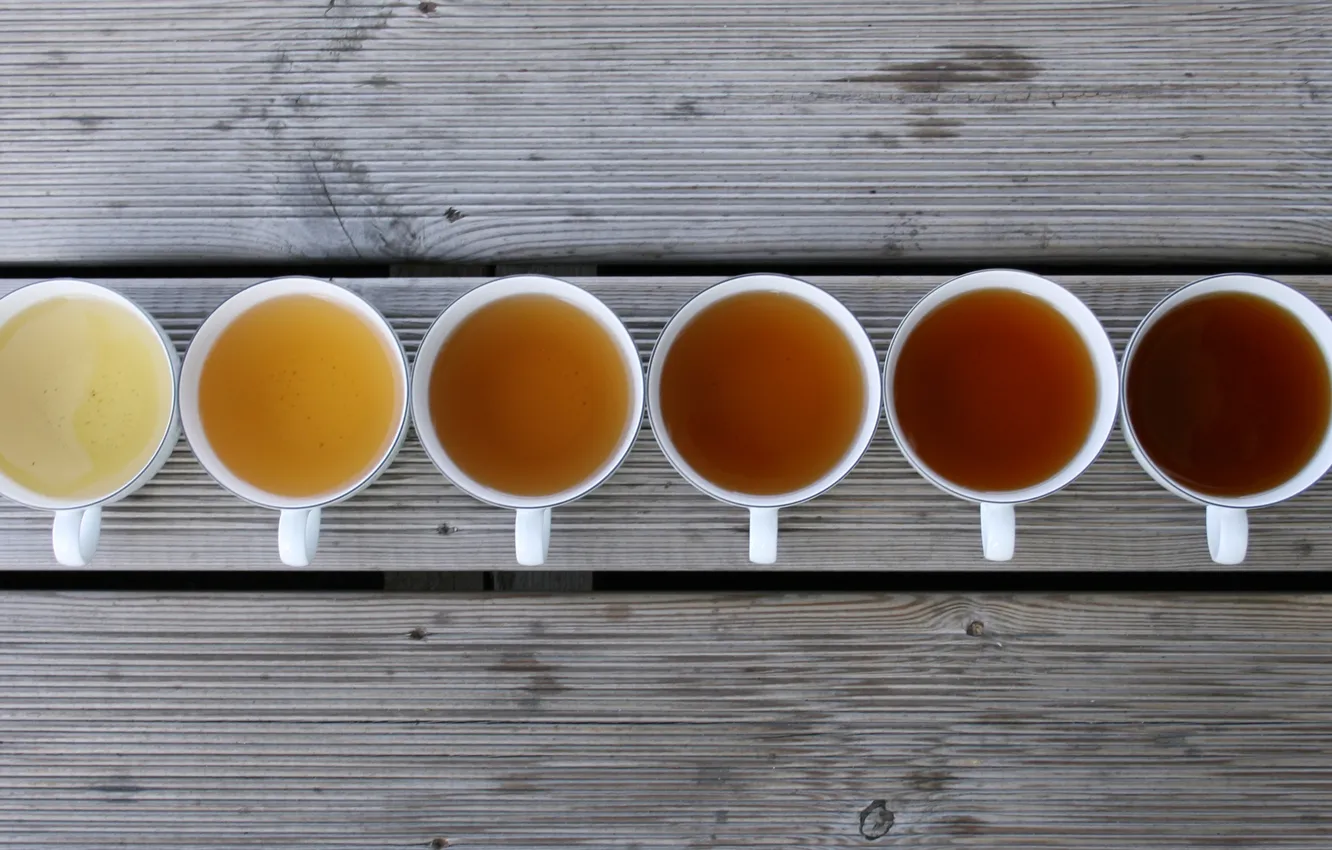 Photo wallpaper trees, mug, drink