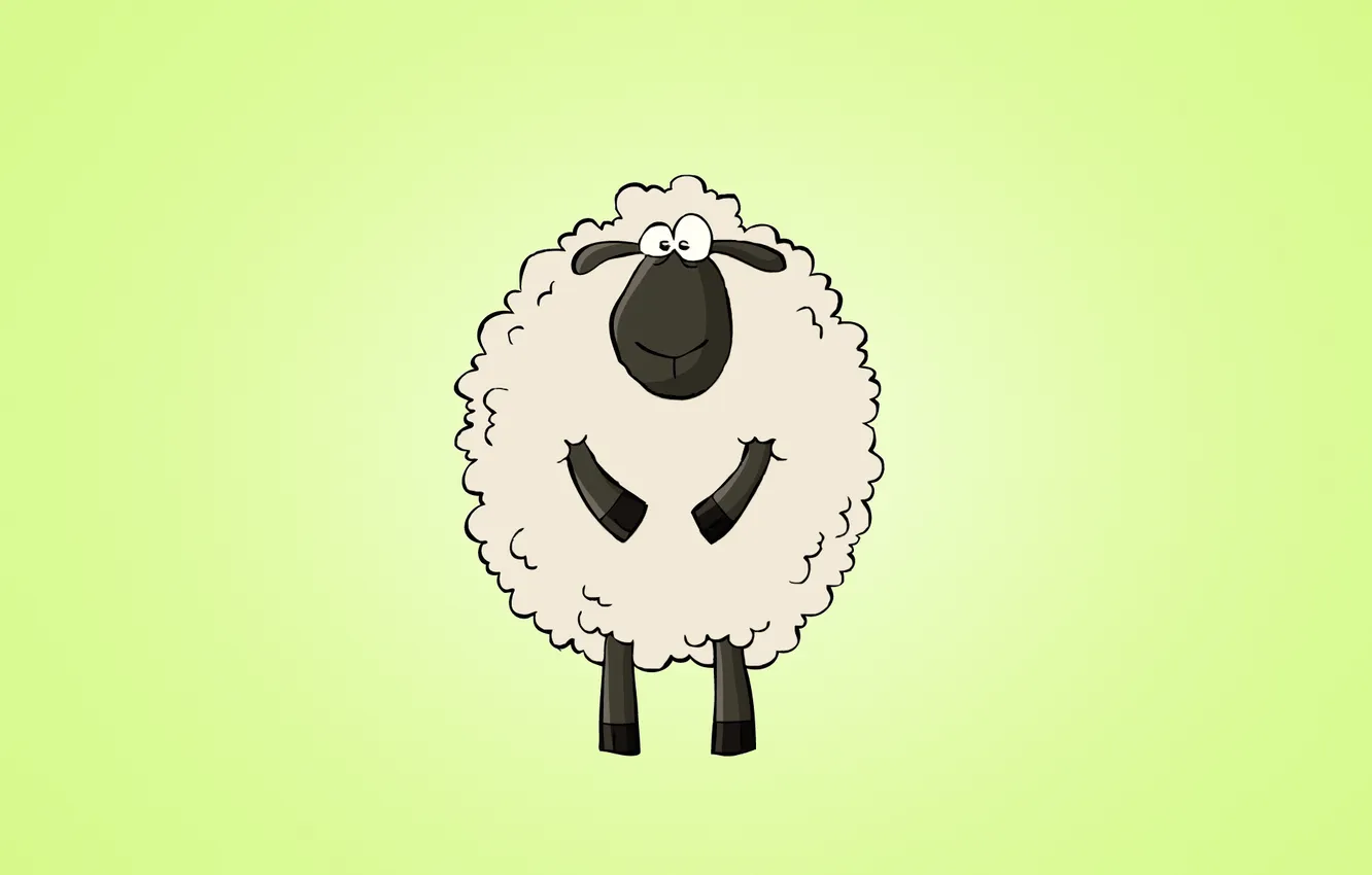 Photo wallpaper animal, sheep, light background, sheep, amazing look