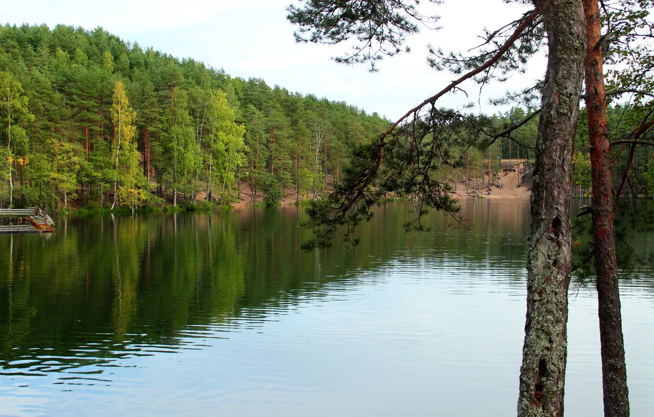 Photo wallpaper water, trees, nature, lake, photo, Russia, The Karelian Isthmus, Semiozere