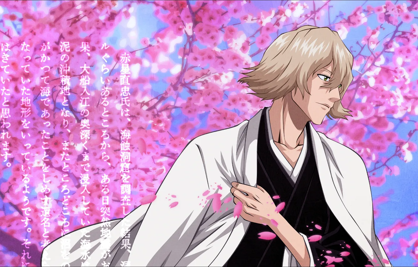 Photo wallpaper petals, male, Bleach, Bleach