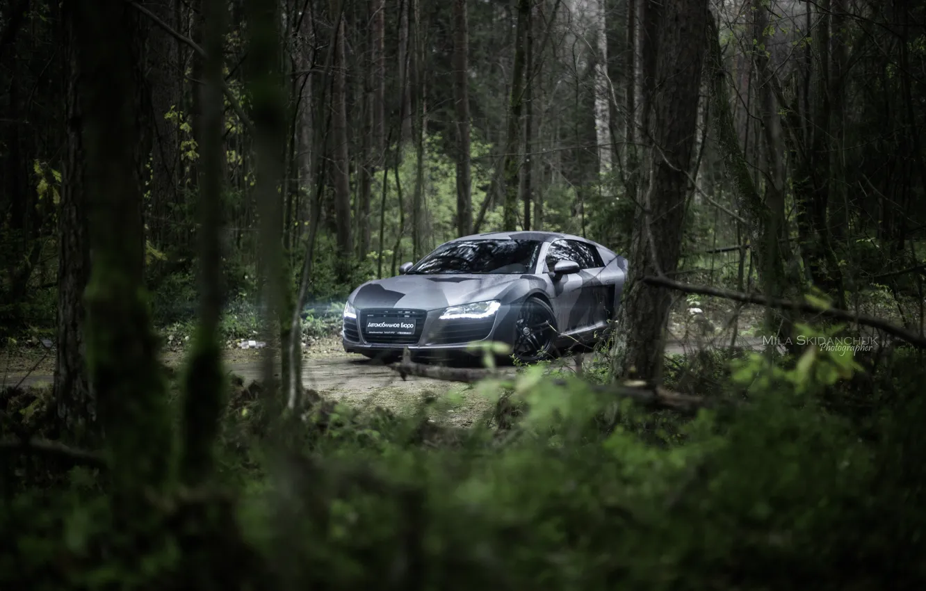 Photo wallpaper car, machine, auto, forest, fog, rain, Audi, audi