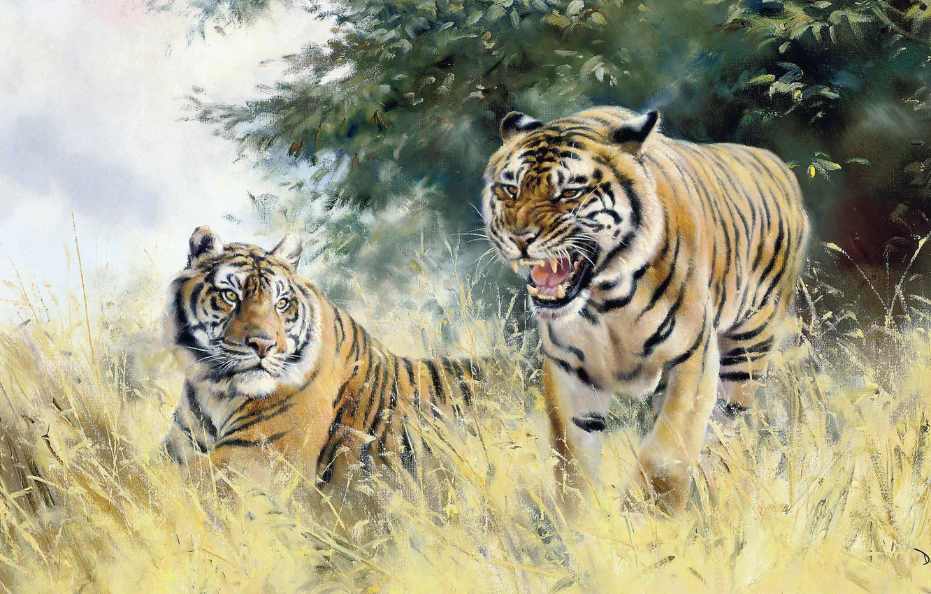 Photo wallpaper grass, tiger, picture, grin, two, big cats, Donald Grant, British animal artist