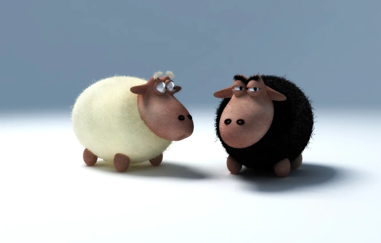 Photo wallpaper sheep, lamb