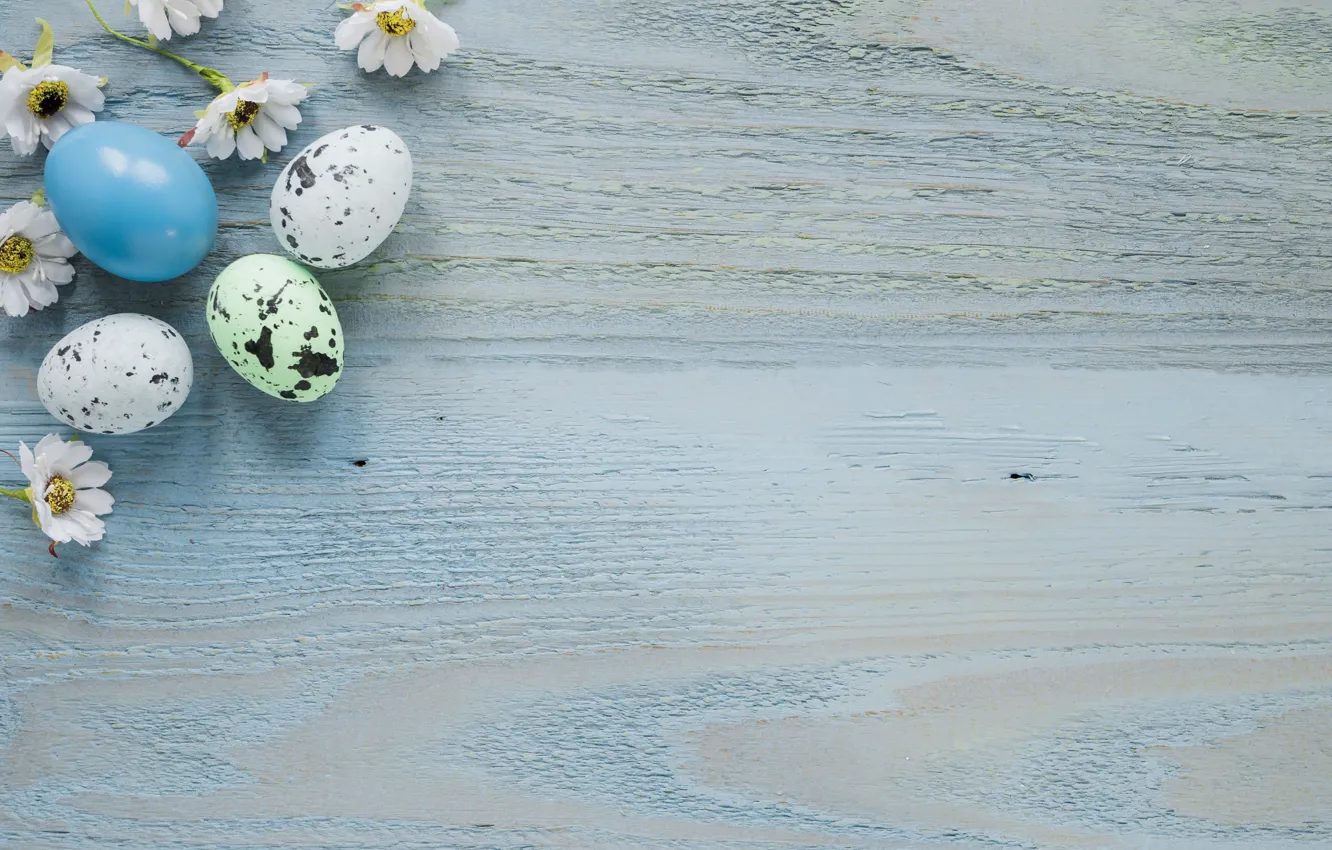 Photo wallpaper background, holiday, eggs, Easter, chrysanthemum