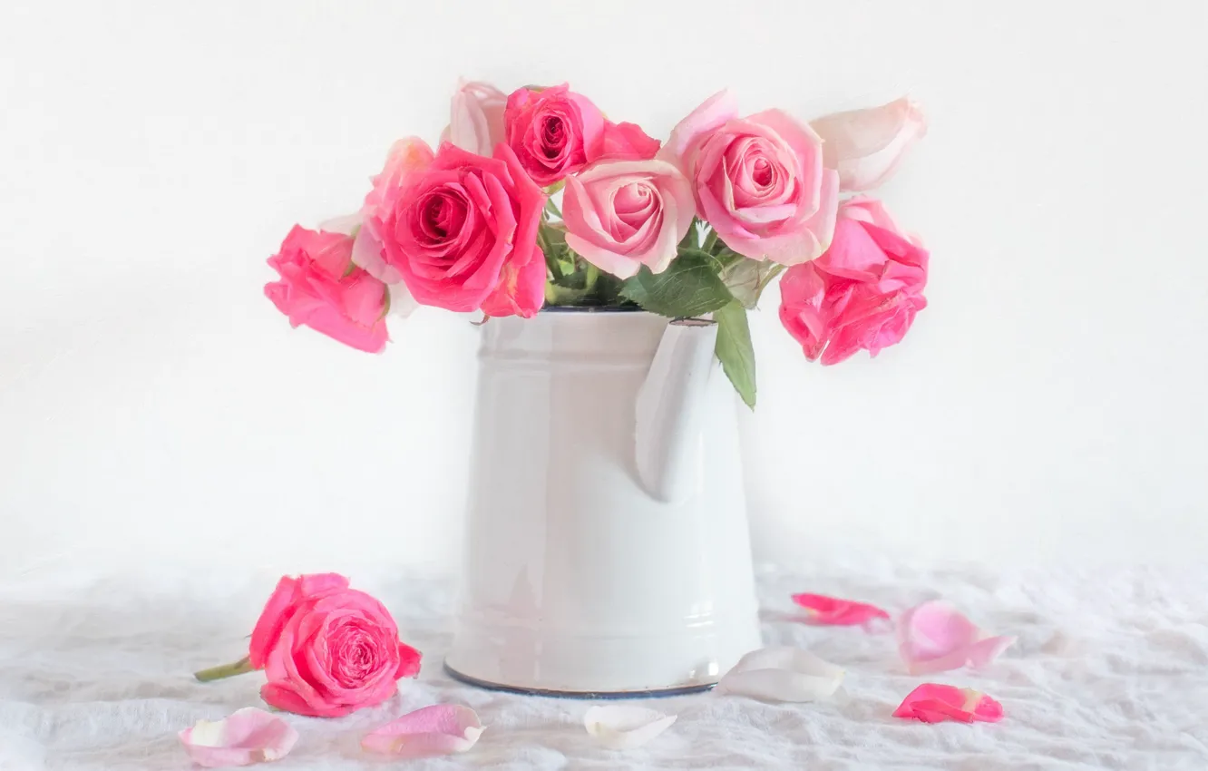 Photo wallpaper roses, petals, kettle, white background, pink