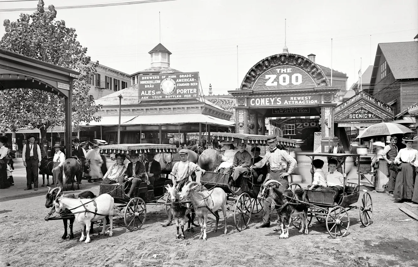 Photo wallpaper retro, USA, zoo