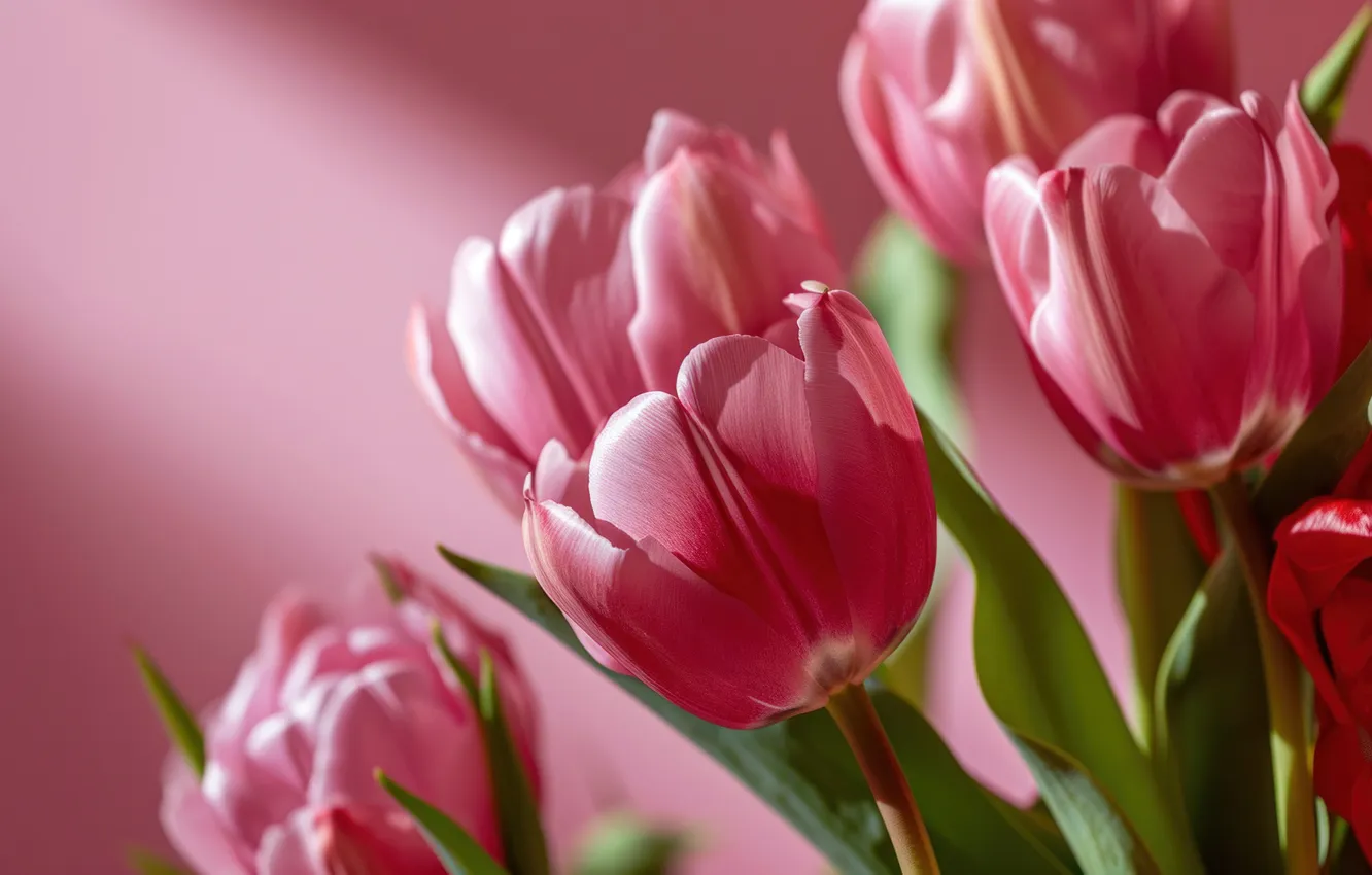 Photo wallpaper flowers, holiday, bouquet, spring, tulips, March 8, AI art, universal holiday background