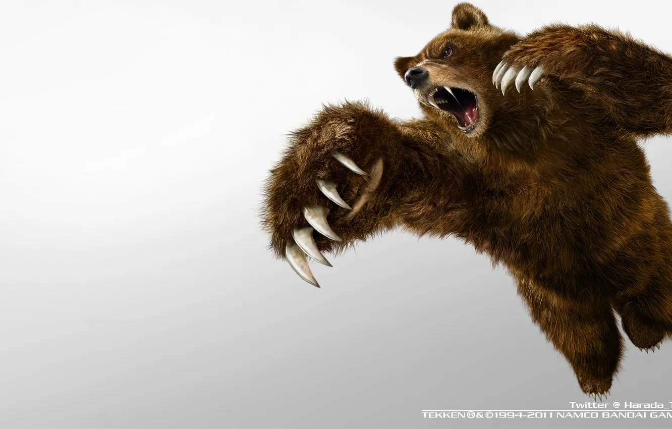 Photo wallpaper bear, games, tekken