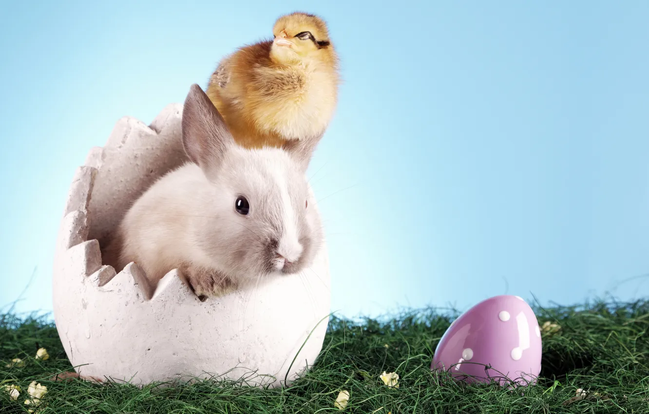 Photo wallpaper grass, egg, rabbit, Easter, chicken, happy easter