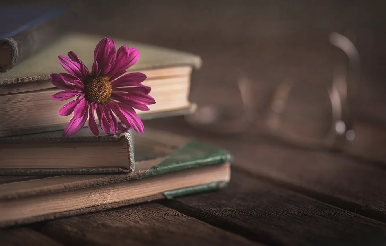 Photo wallpaper flowers, background, book