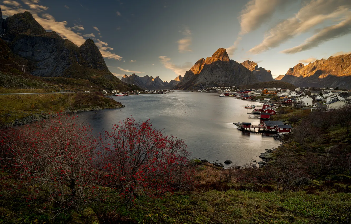 Photo wallpaper mountains, home, Norway, the fjord, The Lofoten Islands