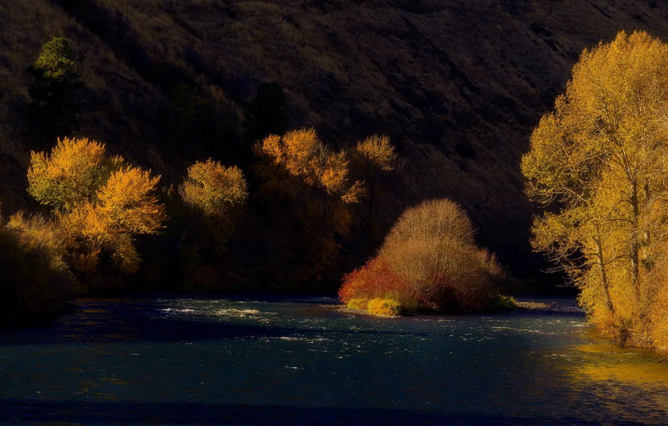 Photo wallpaper autumn, light, trees, mountains, the dark background, lighting, the bushes, pond