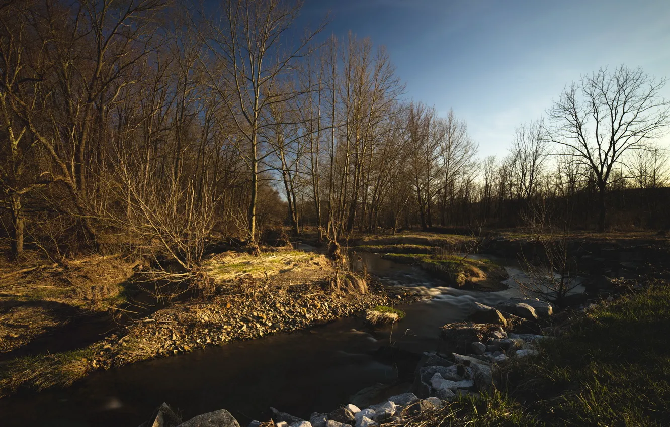 Photo wallpaper landscape, nature, river, spring, morning
