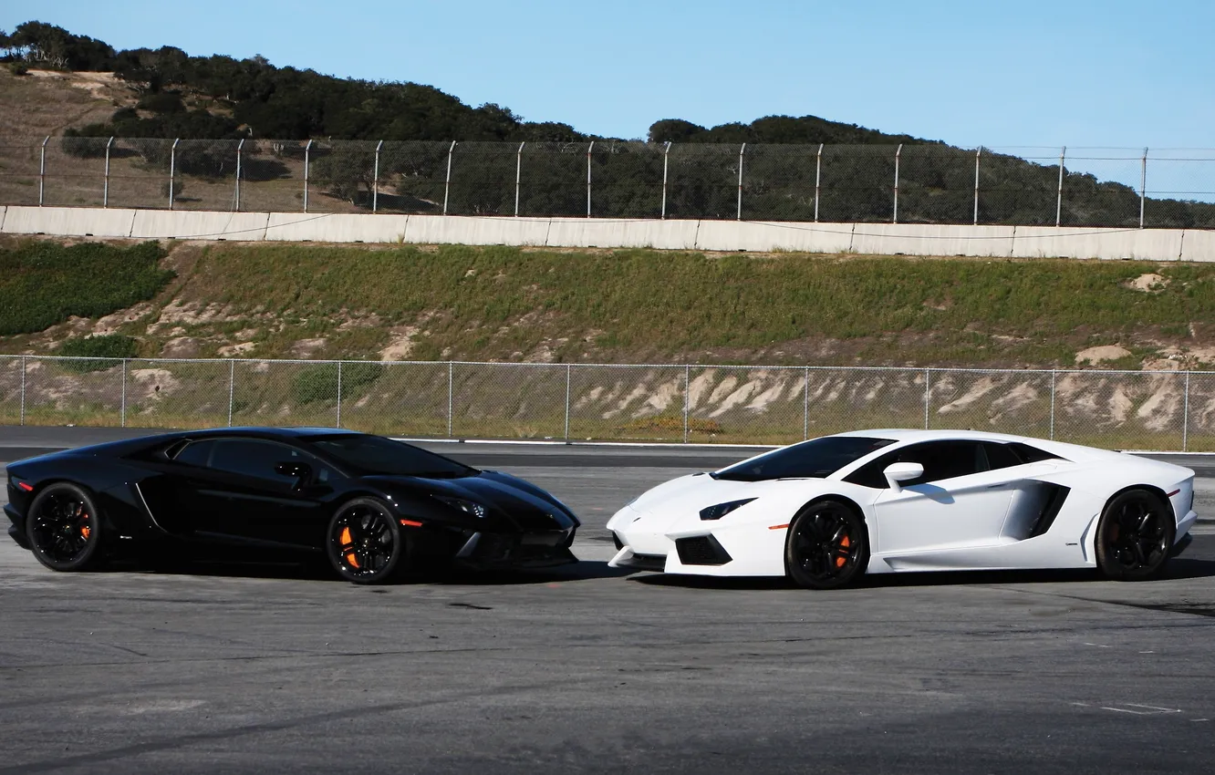 Photo wallpaper white, the sky, grass, black, Lamborghini, slope, the fence, white