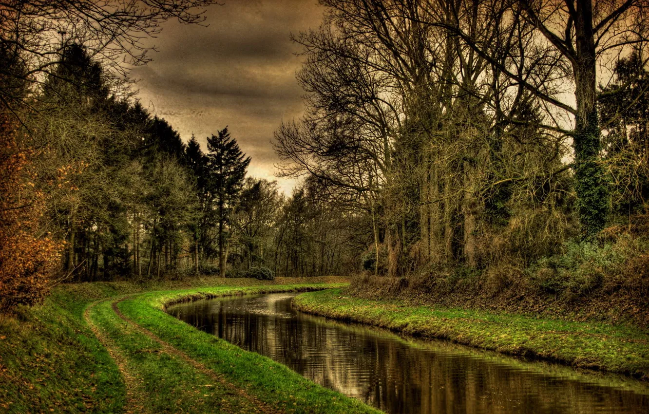 Photo wallpaper road, forest, water, river, channel