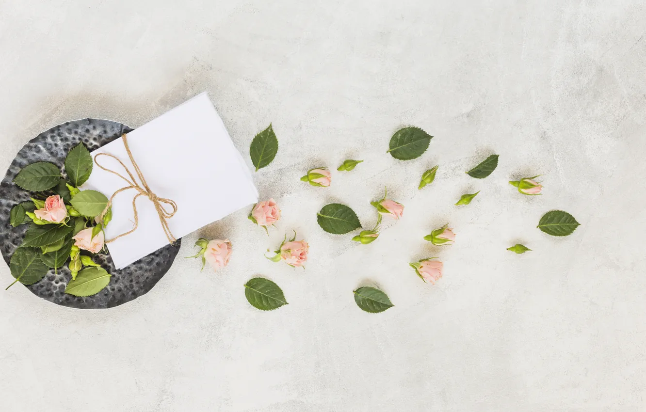 Photo wallpaper roses, buds, the envelope, Romantic