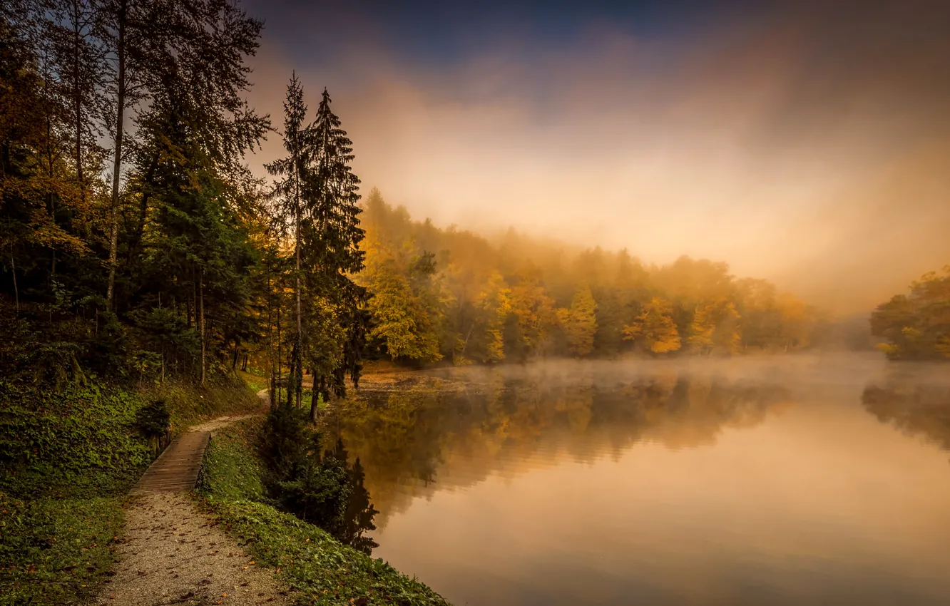 Photo wallpaper autumn, forest, trees, fog, lake, path, Croatia, Trakoscan