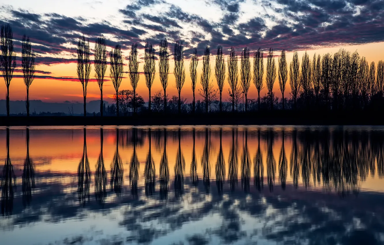 Photo wallpaper the sky, water, trees, sunset, reflection, the evening, silhouette, Italy