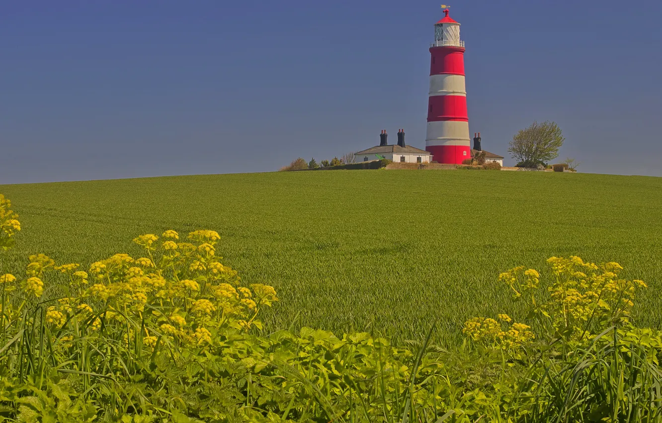 Photo wallpaper field, lighthouse, England, home