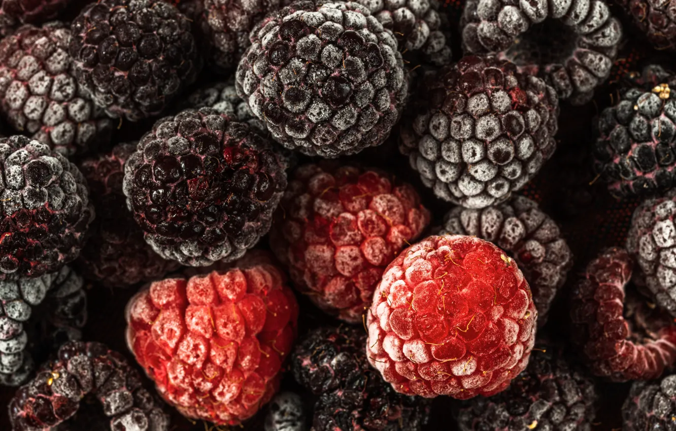 Photo wallpaper frost, berries, raspberry, placer, a lot, BlackBerry, frozen