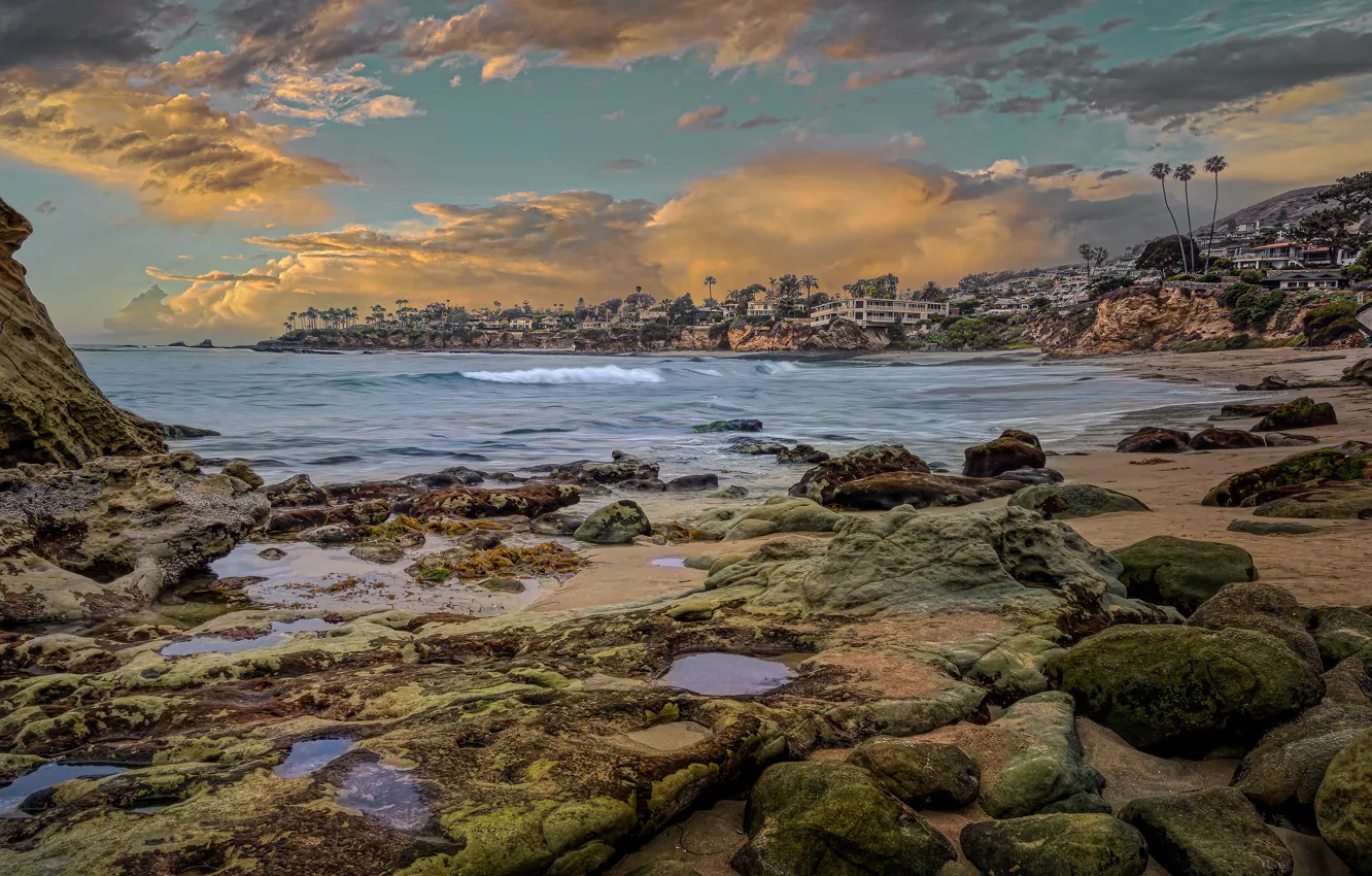 Photo wallpaper sea, the sky, clouds, the city, stones, palm trees, rocks, shore