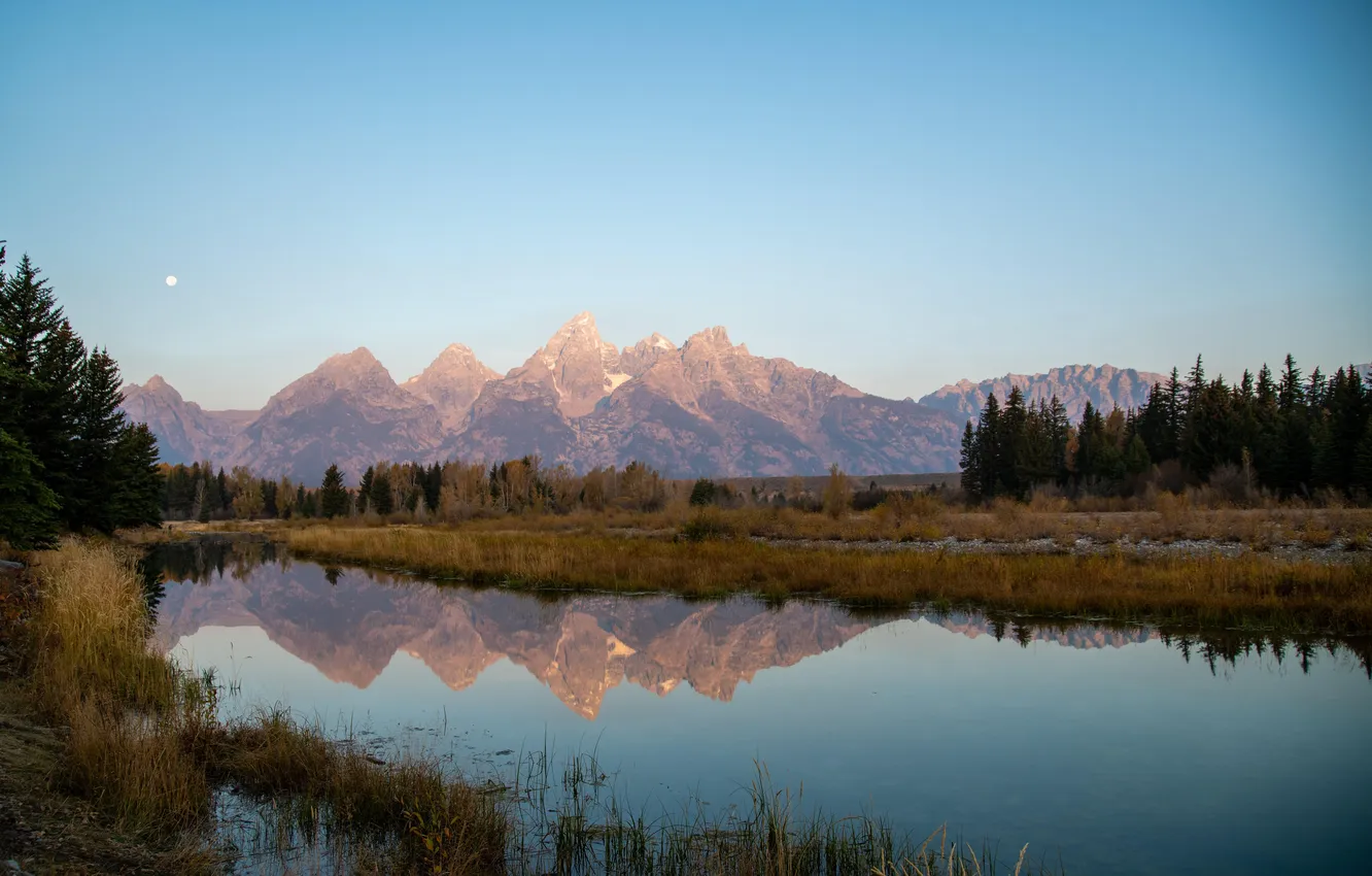 Photo wallpaper forest, the sky, grass, trees, landscape, mountains, nature, lake