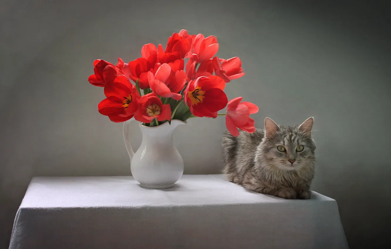 Photo wallpaper cat, cat, flowers, table, animal, tulips, pitcher, tablecloth