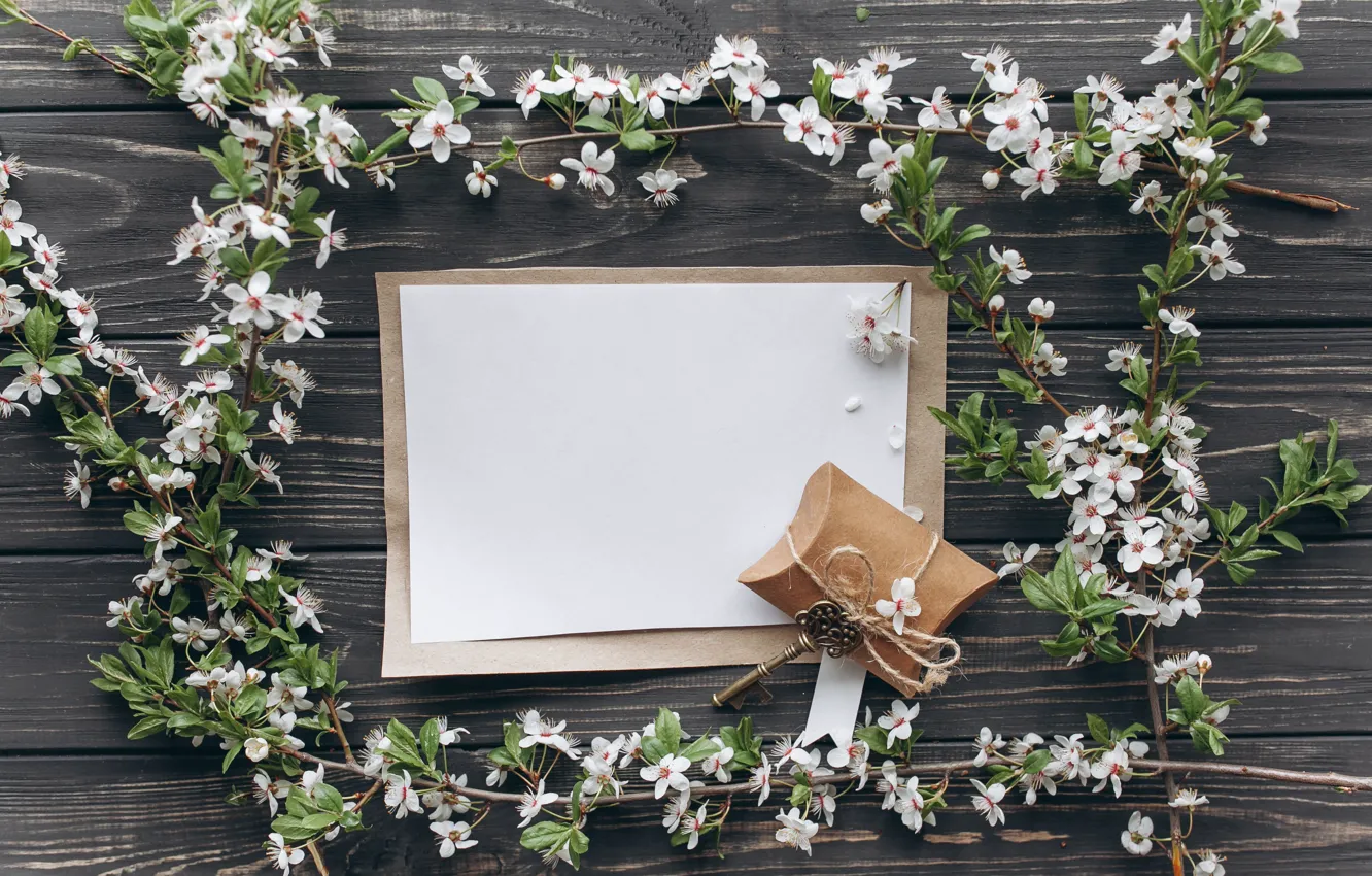 Photo wallpaper flowers, branches, gift, apple, spring, white, white, Apple