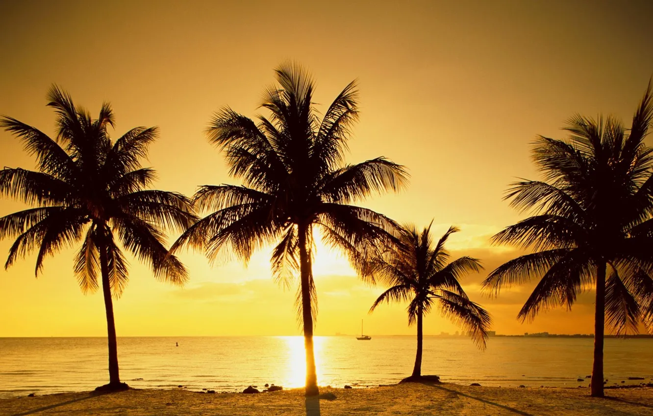 Photo wallpaper sea, the sun, sunrise