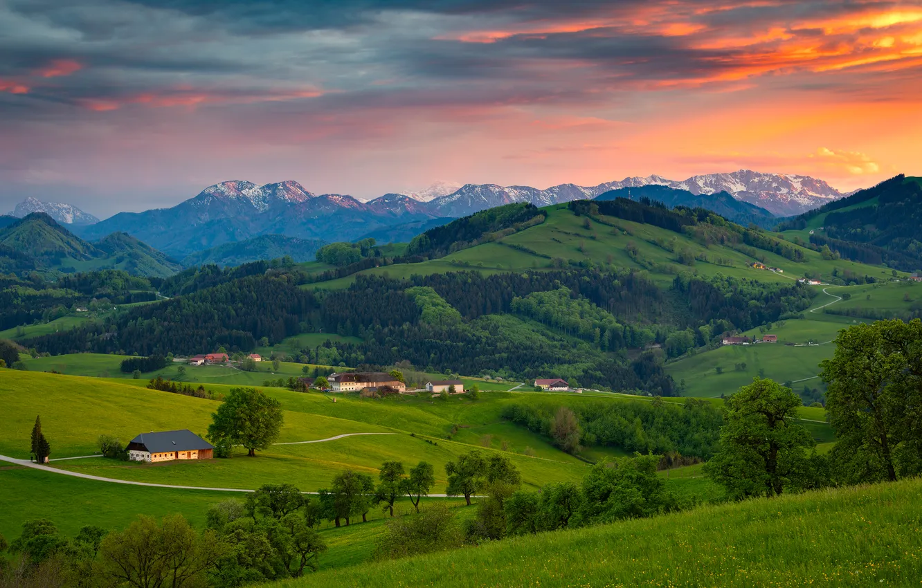 Photo wallpaper field, forest, the sky, grass, trees, sunset, mountains, hills