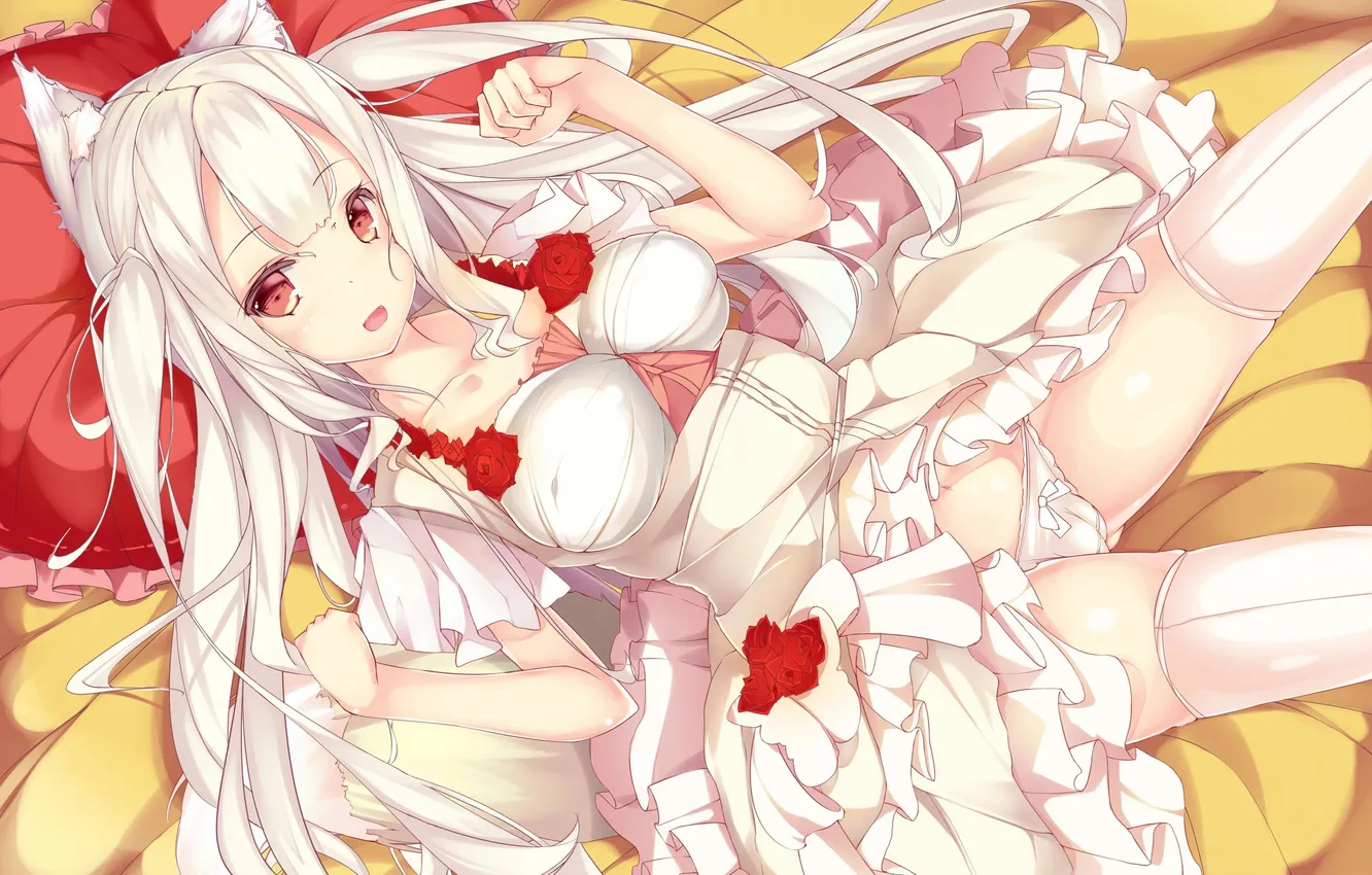 Photo wallpaper look, girl, joy, tail, neko, ears, art, shirohina