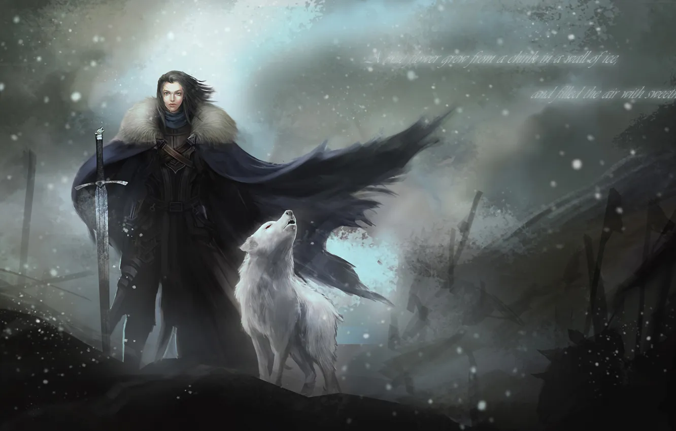 Photo wallpaper sword, armor, cloak, Blizzard, the direwolf, Game of thrones, Jon Snow