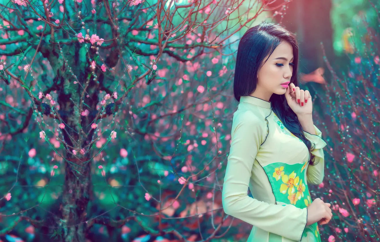 Photo wallpaper girl, background, Asian