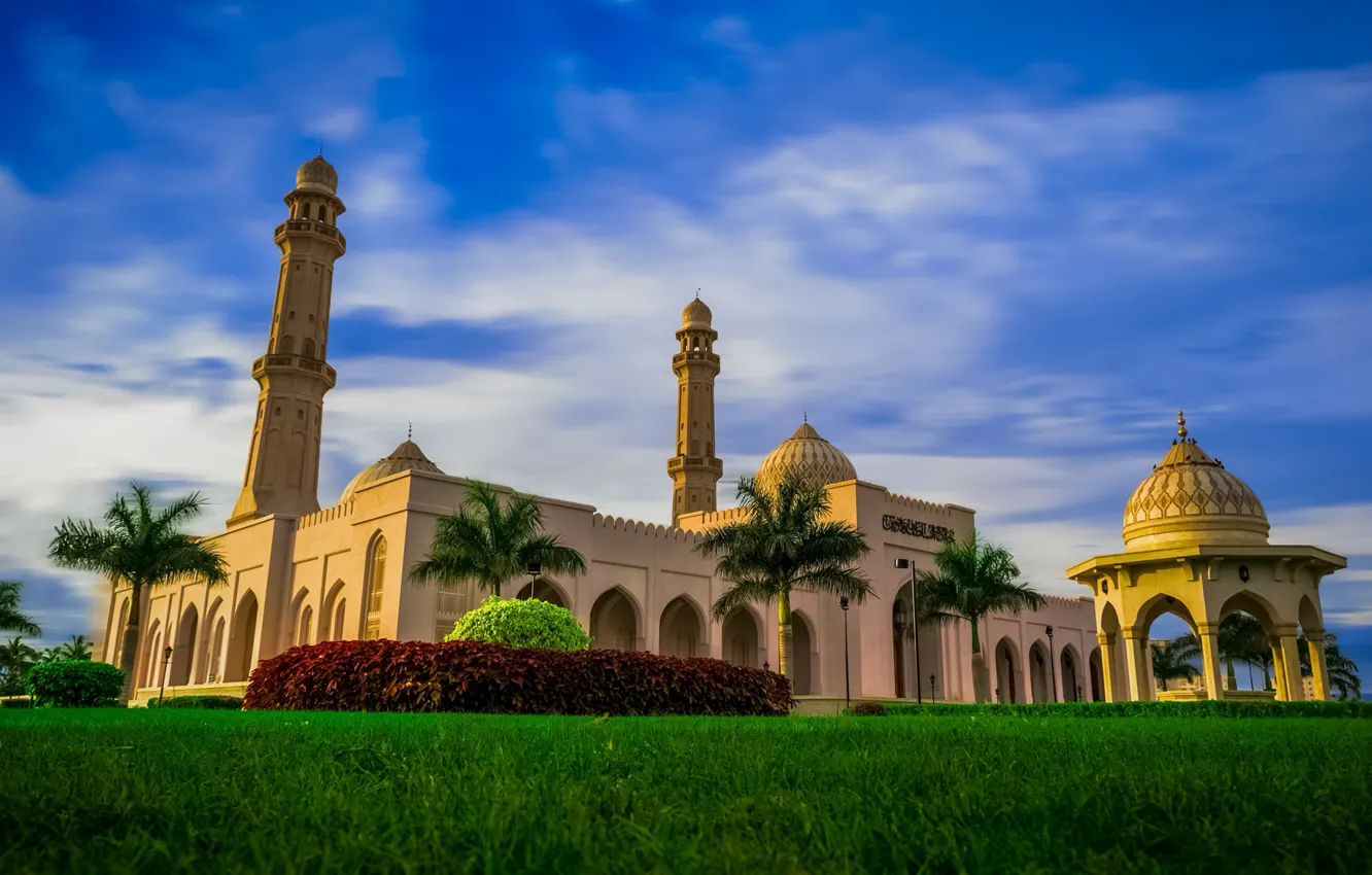 Photo wallpaper grass, the city, palm trees, lawn, Egypt, mosque, Cairo