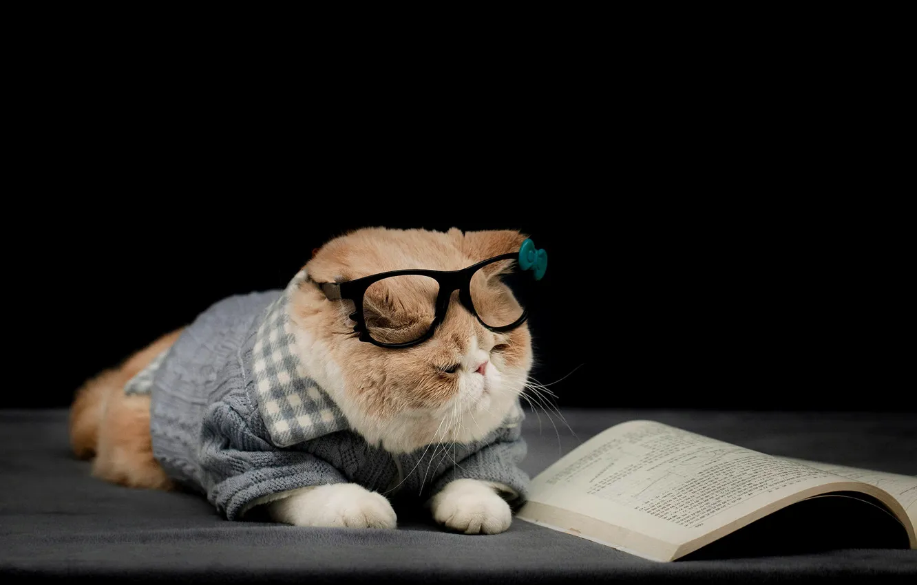 Photo wallpaper cat, cat, clothing, glasses, costume, lies, book, red