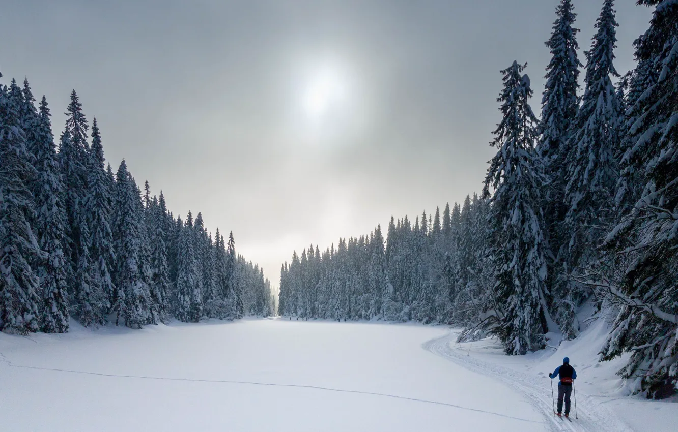 Photo wallpaper snow, sport, skier