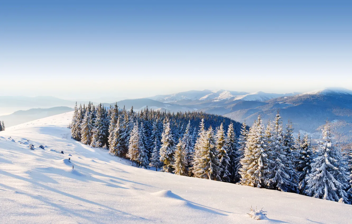 Photo wallpaper winter, forest, the sky, snow, trees, mountains, hills, spruce