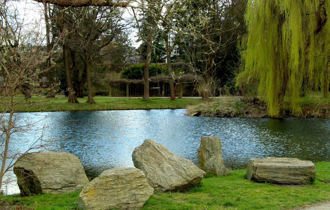 Photo wallpaper park, lake, stones, pond
