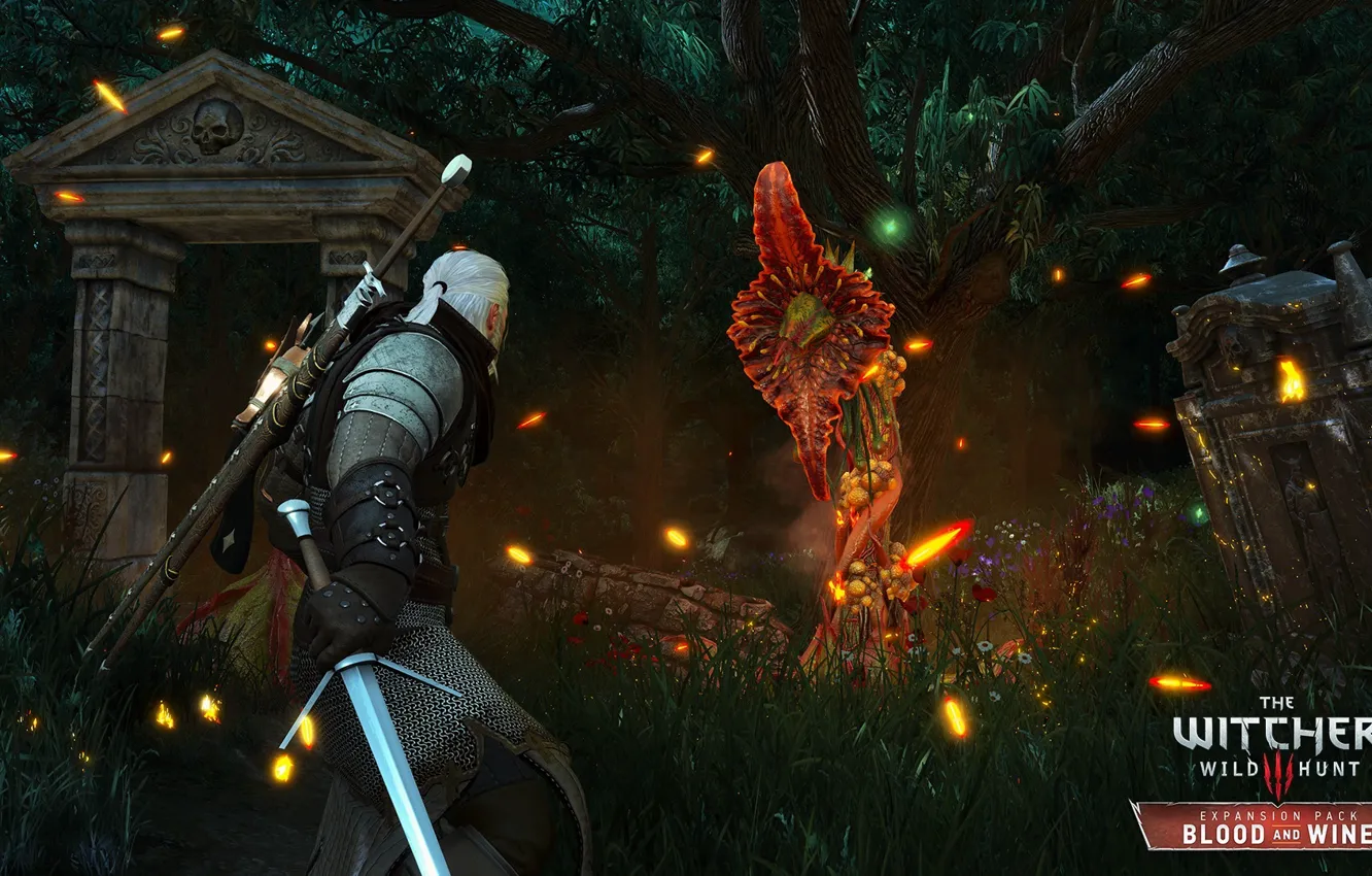 Photo wallpaper game, DLC, RPG, CD Projekt RED, The Witcher 3: Wild Hunt, developer, Blood and Wine