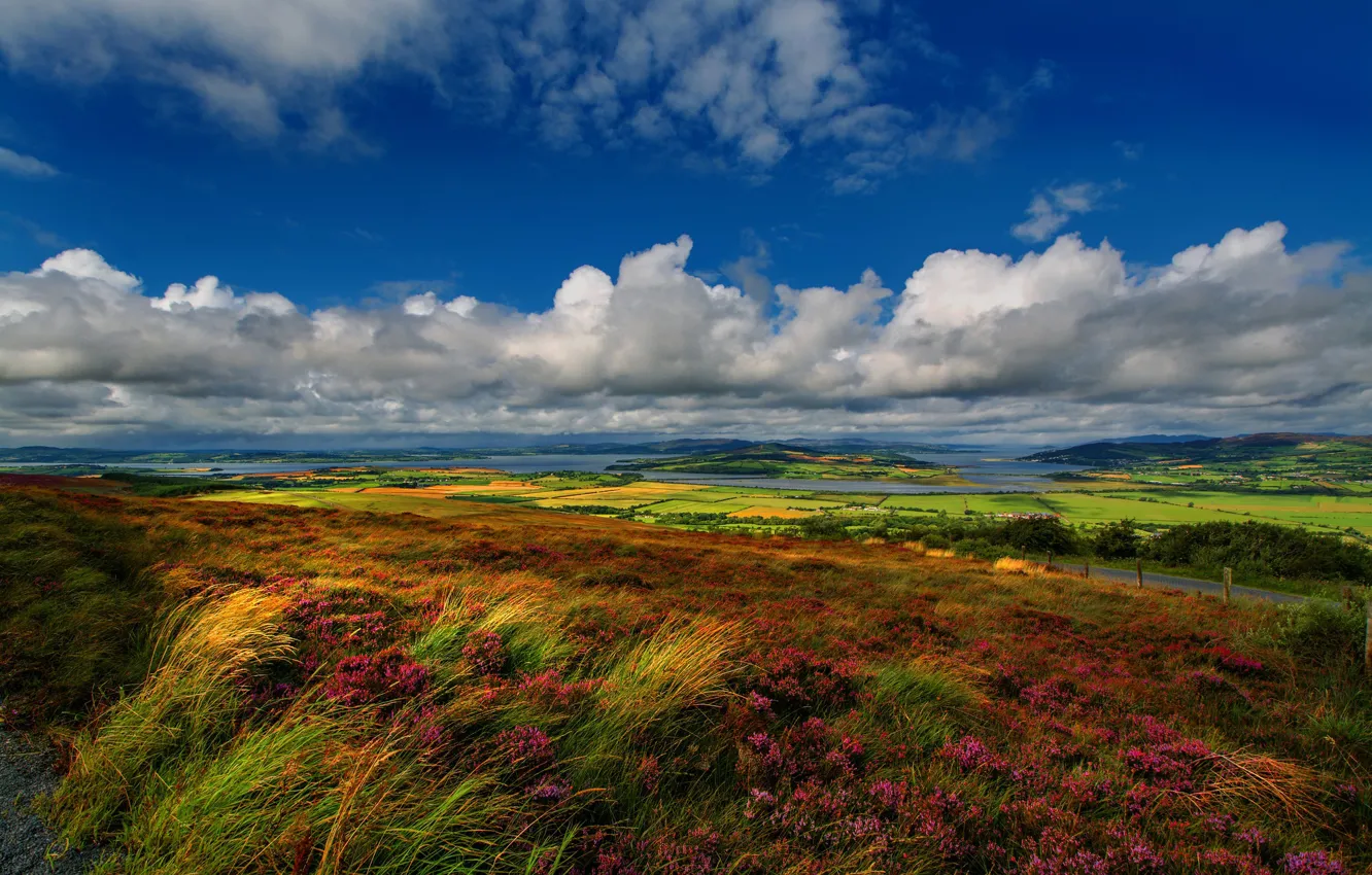 Photo wallpaper field, clouds, flowers, blue, hills, view, field, England