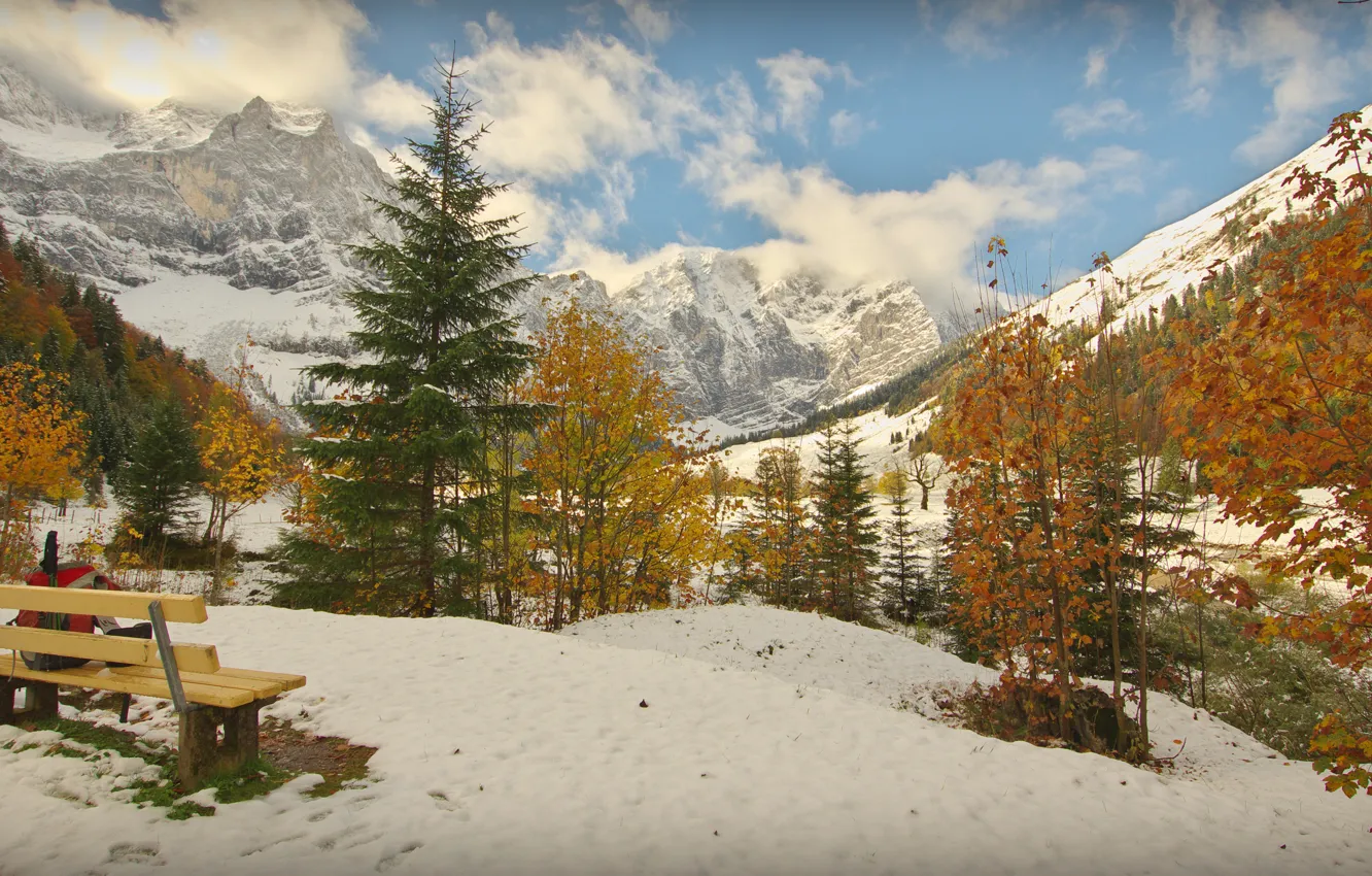 Photo wallpaper winter, forest, the sky, clouds, snow, trees, mountains, bench
