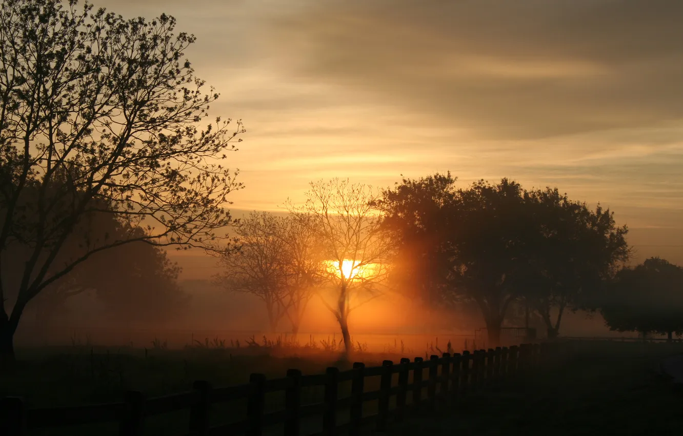 Photo wallpaper the sun, trees, dawn, the fence, dark, morning, silhouettes