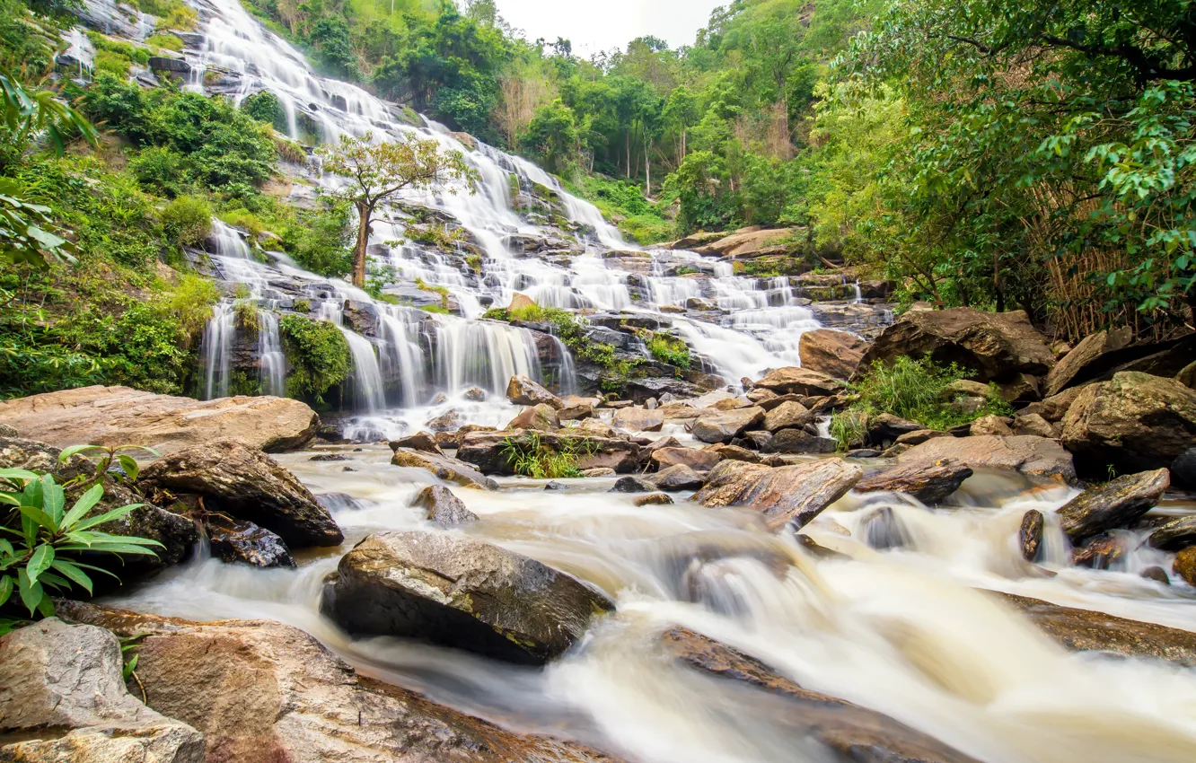 Photo wallpaper forest, river, waterfall, forest, river, landscape, jungle, waterfall