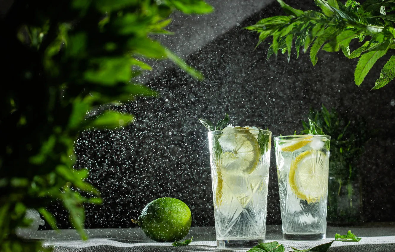 Photo wallpaper ice, leaves, squirt, glass, lime, drink