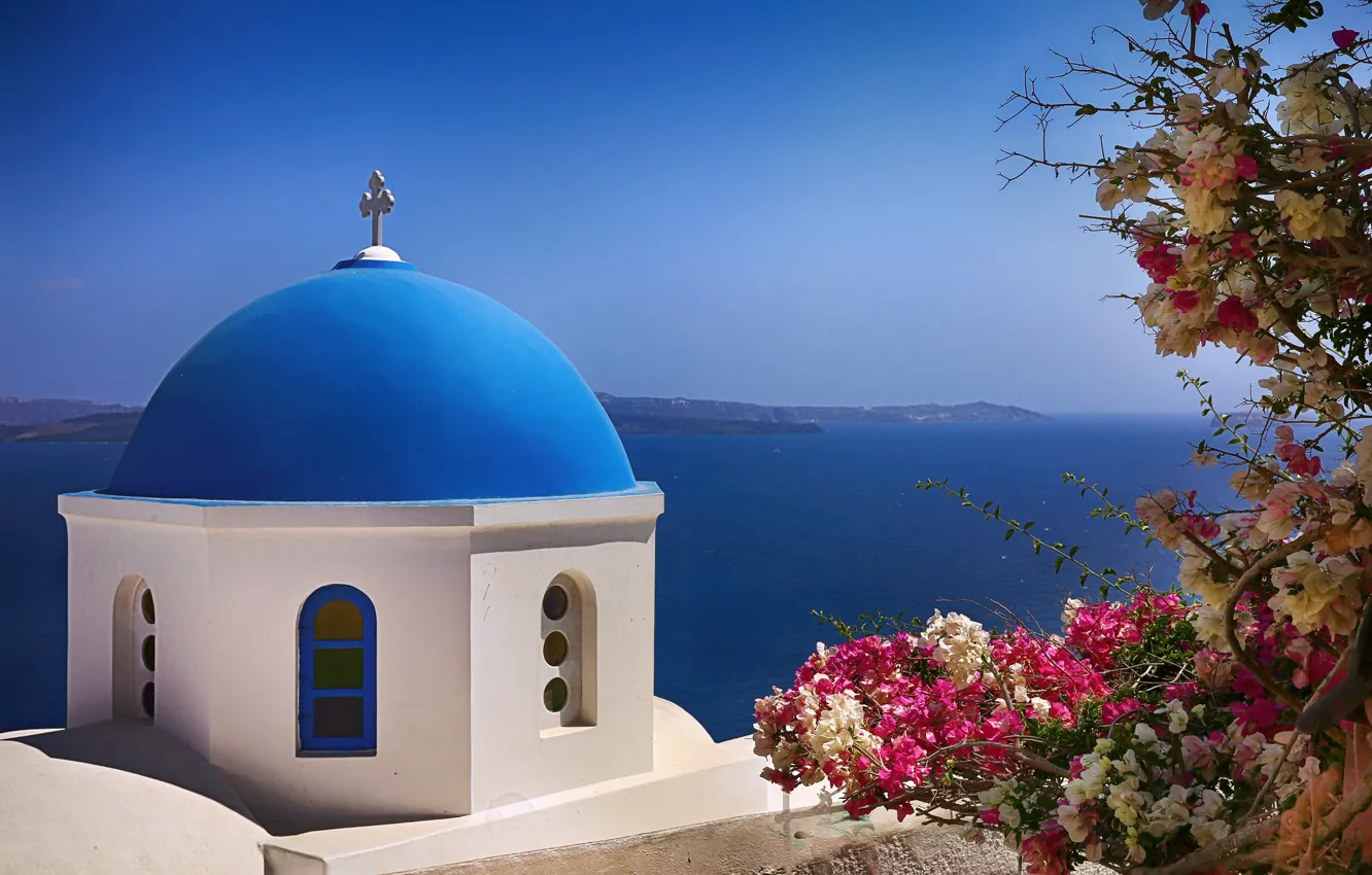 Photo wallpaper sea, flowers, Santorini, Greece, the dome