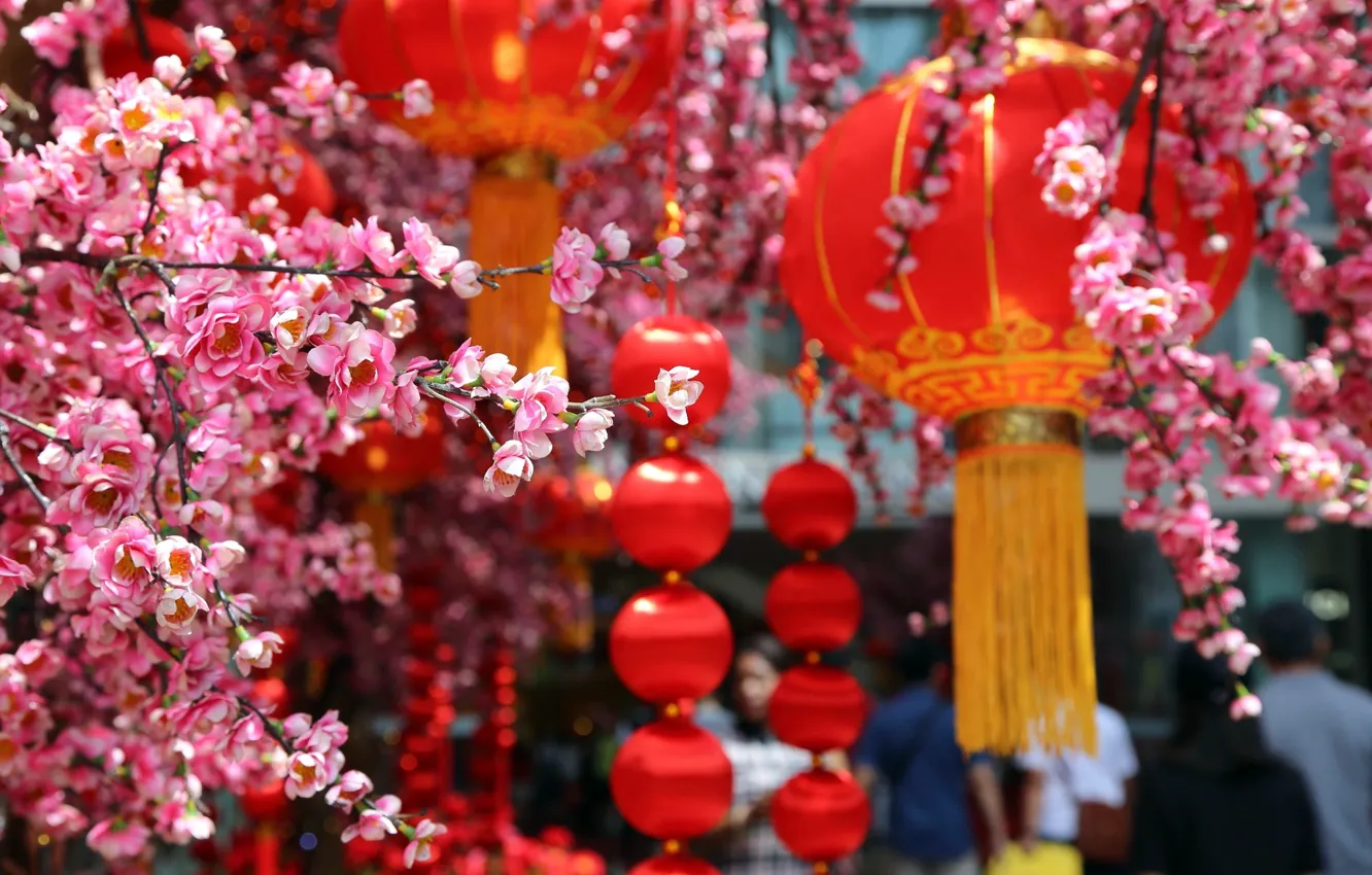 Photo wallpaper flowers, lights, peaches, blossom, peach, lantern, 2023, Chinese Spring Festival