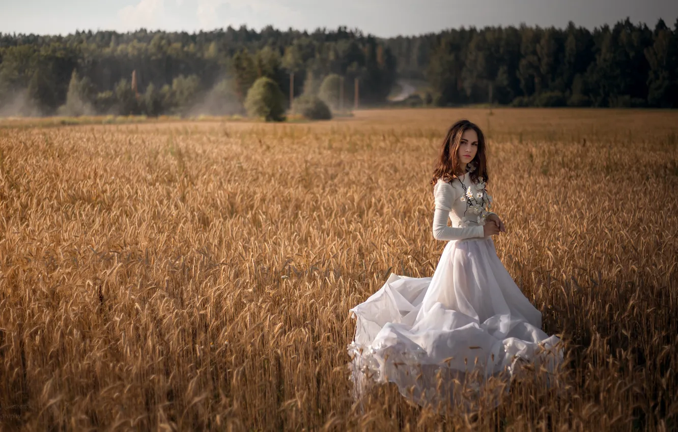 Photo wallpaper field, girl, pose, dress, Elizabeth, ALEKSEI MAKARENOK