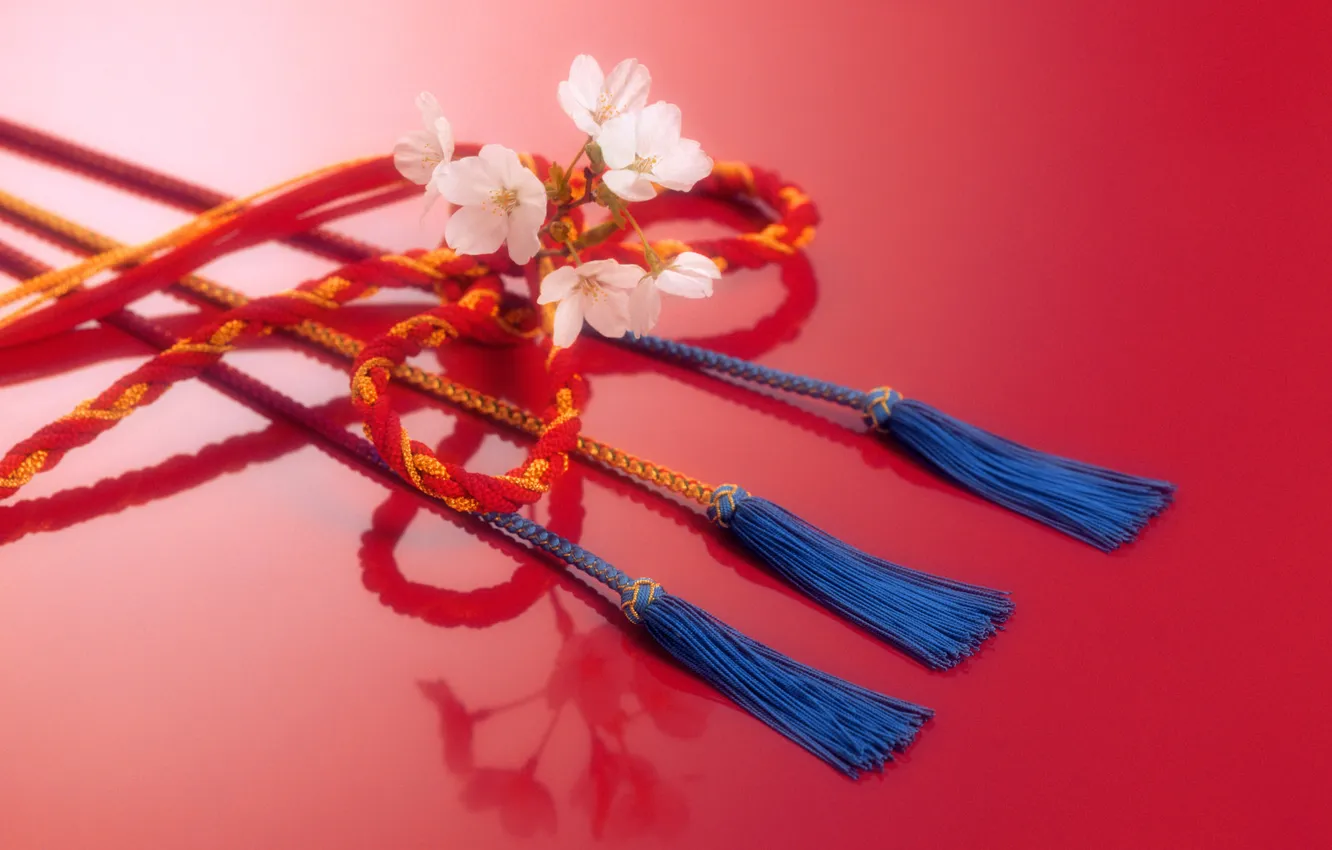 Photo wallpaper flower, rope, Japan, cord, braid